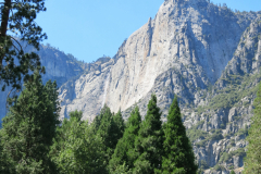 IMG_0207-e1480101497524