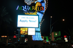 IMG_0540-e1480103765799