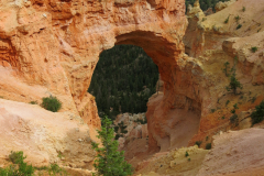 IMG_0868-e1480104971651