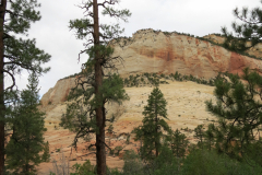 IMG_0920-e1480105161419