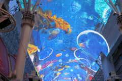 IMG_1160-e1480113374571