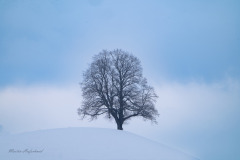 326370158_573102024379145_5925444188496477366_n