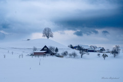 326779957_1560368154443023_4960334470563391916_n