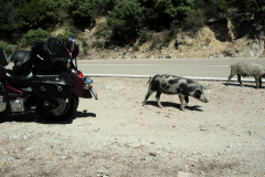 Sardinien-2011-049