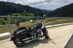 IMG_5433-e1492270125584