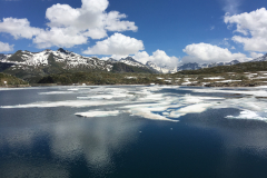 IMG_5439-e1492270103922