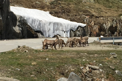 IMG_5447-e1492270065714