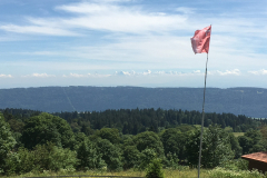 IMG_5510-e1492270030516