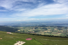 IMG_5514-e1492270002592