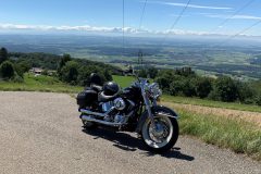 Schmiedenmatt1-scaled