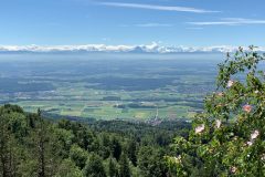 Schmiedenmatt2-scaled